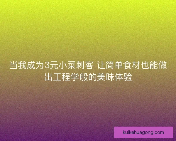 当我成为3元小菜刺客 让简单食材也能做出工程学般的美味体验