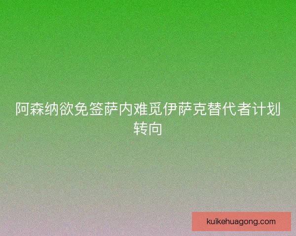 阿森纳欲免签萨内难觅伊萨克替代者计划转向 阿森纳欲免签萨内难觅伊萨克替代者计划转向